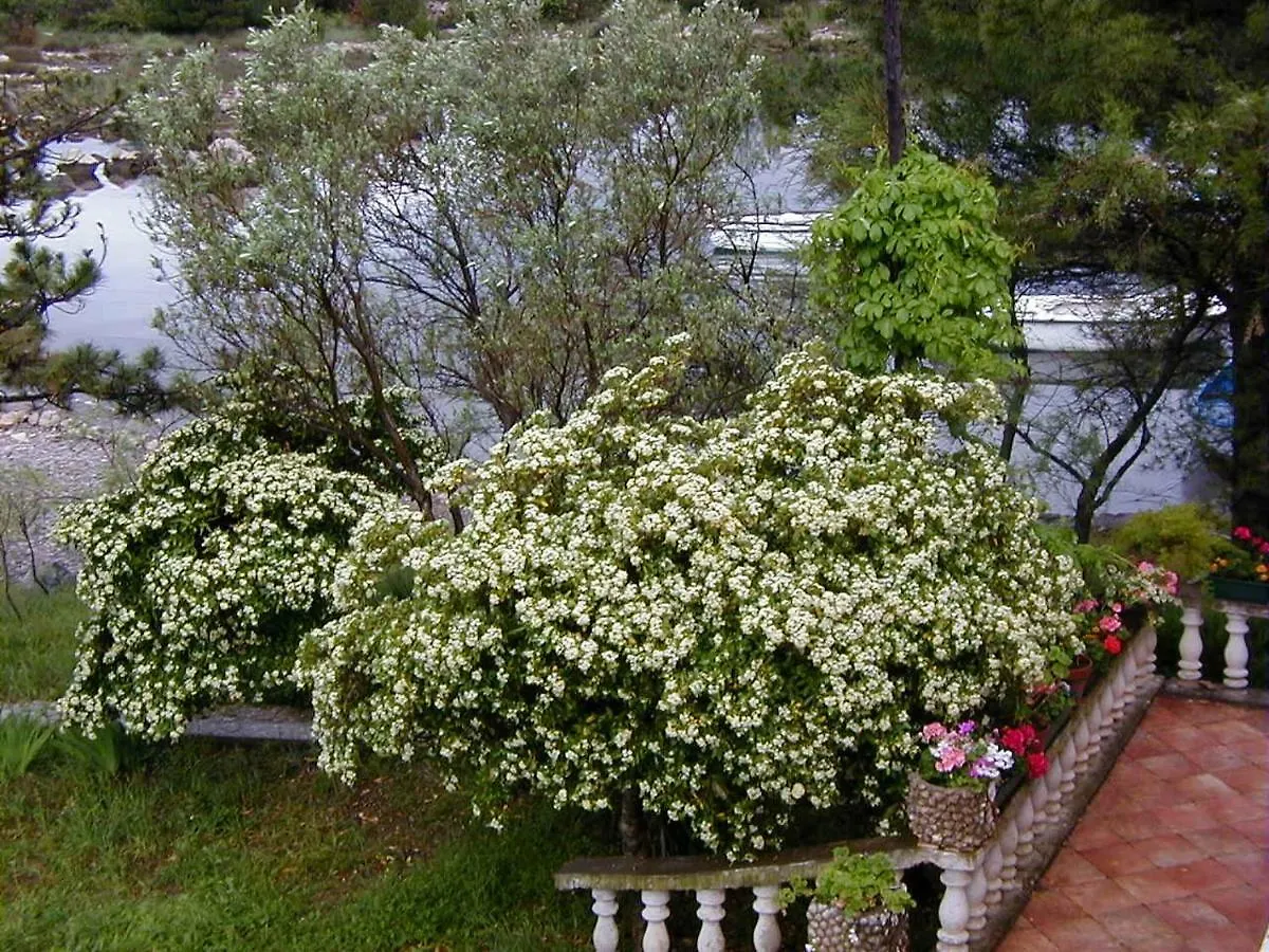 Apartament Villa Jaz Seline
